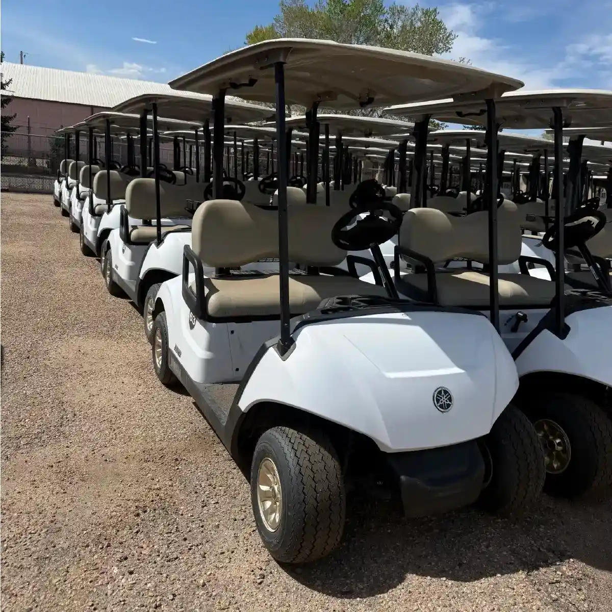 Rental 4 Passenger