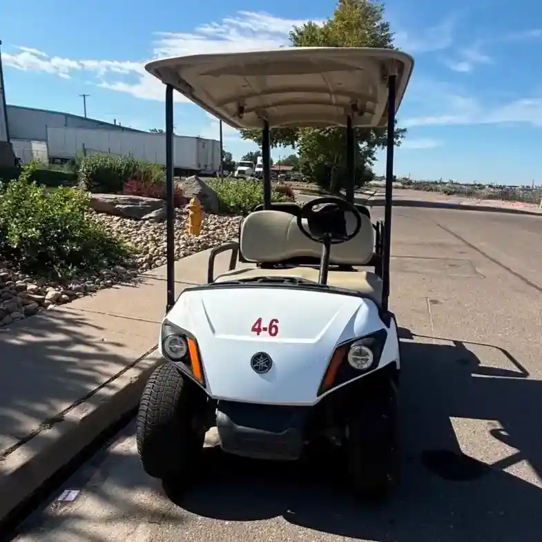 Rental 4 Passenger