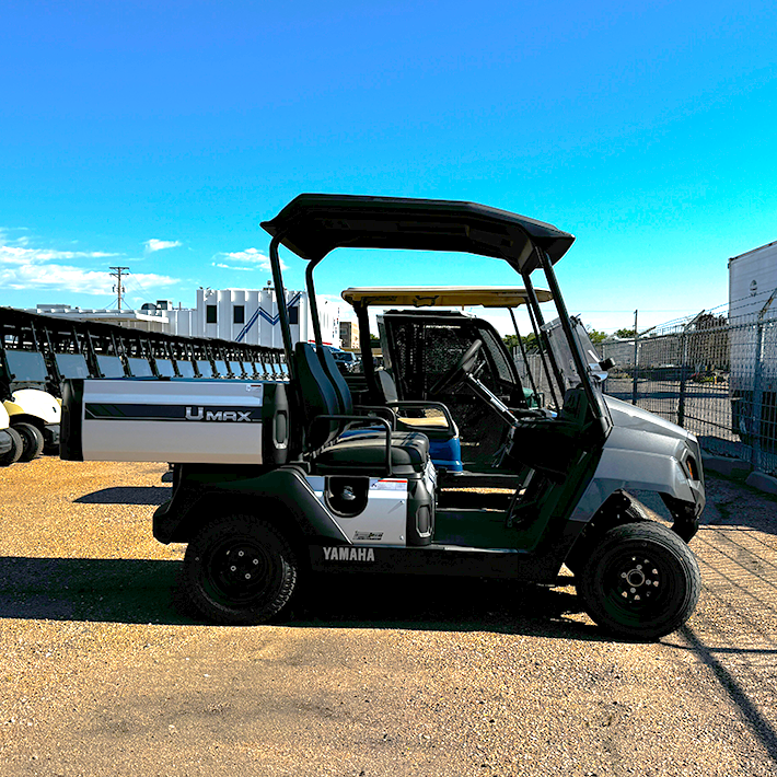 2025 Carbon Metallic Umax EFI Utility Golf Cart/ Gas