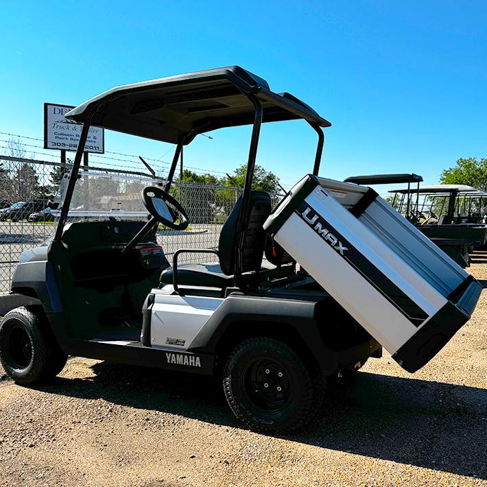 2025 Carbon Metallic Umax EFI Utility Golf Cart/ Gas